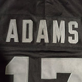Jersey Las Vegas Raiders, Davante Adams #17