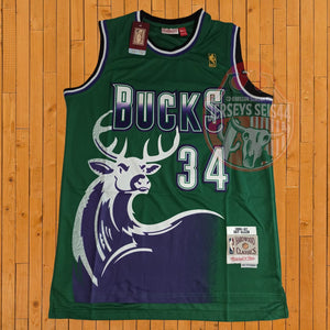 Jersey Milwaukee Bucks edición retro, Ray Allen, 1996-97